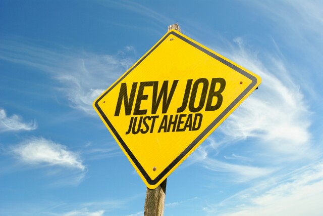 Cover image for  article: New Resumes for Review by Talent Recruitment Teams -- August 8, 2023