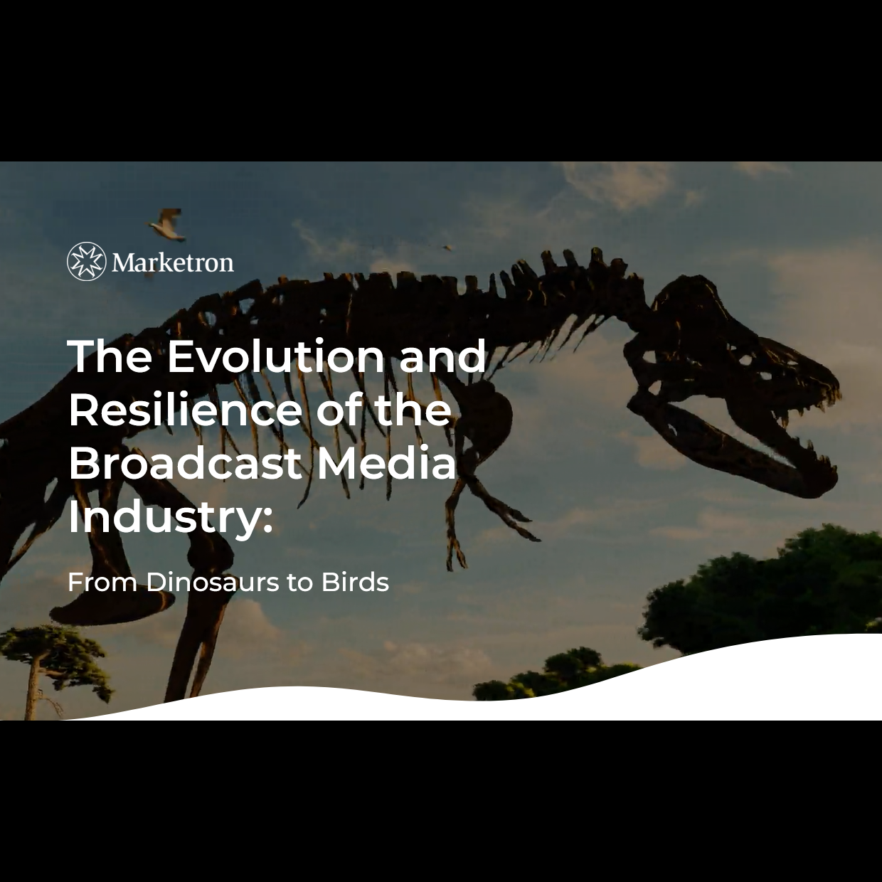 Cover image for  article: The Broadcast Media Industry Faces a Pivotal Moment; Evolution Is the Path to Survive and Thrive