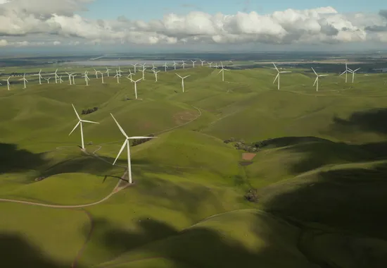 Greenwashing: The Perils of Misleading Sustainability in Advertising